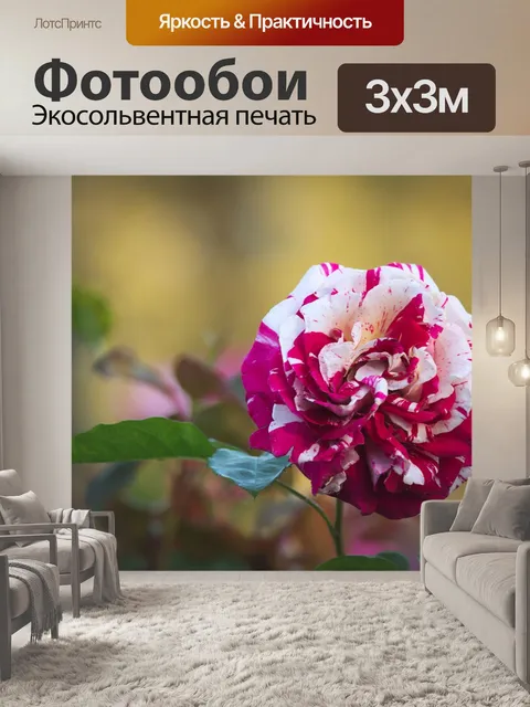 Фотообои Цвета
