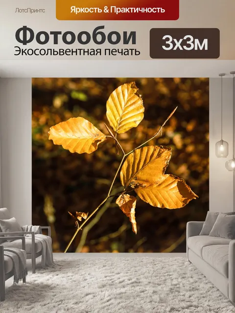 Фотообои Листья