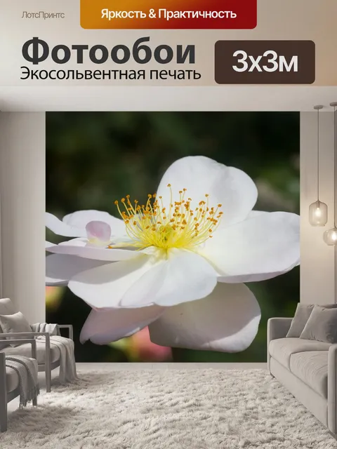 Фотообои Розы