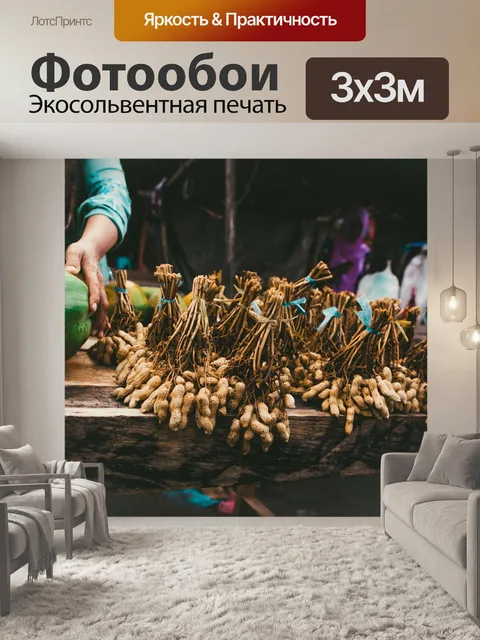 Фотообои Арахис olejná