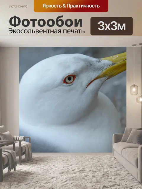 Фотообои Птица