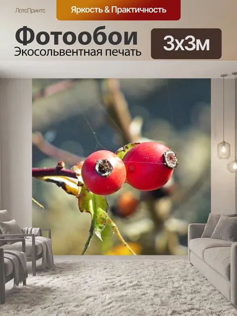 Фотообои Фрукты