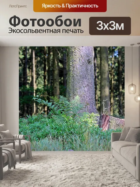 Фотообои Лес