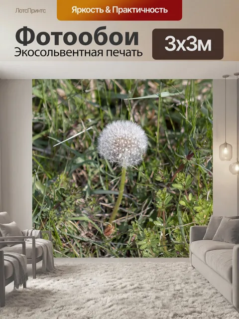 Фотообои Одуванчик