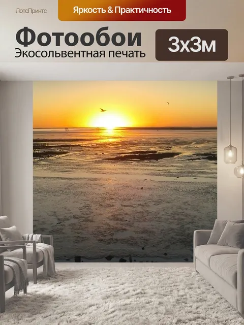 Фотообои Чайка