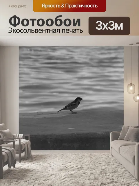 Фотообои Птица