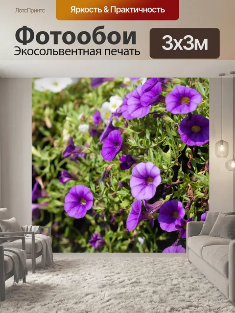 Фотообои Purple Flowers