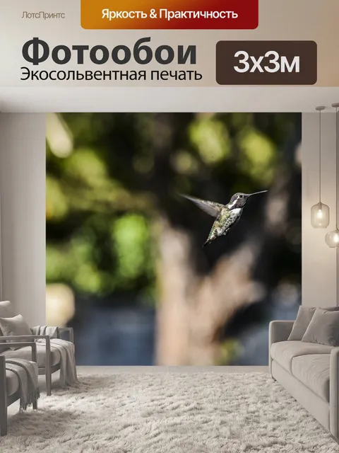 Фотообои Зеленый Колибри в полете
