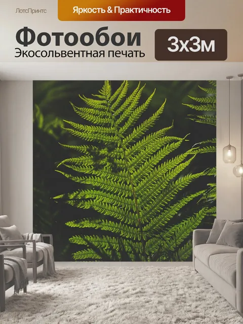Фотообои Папоротник