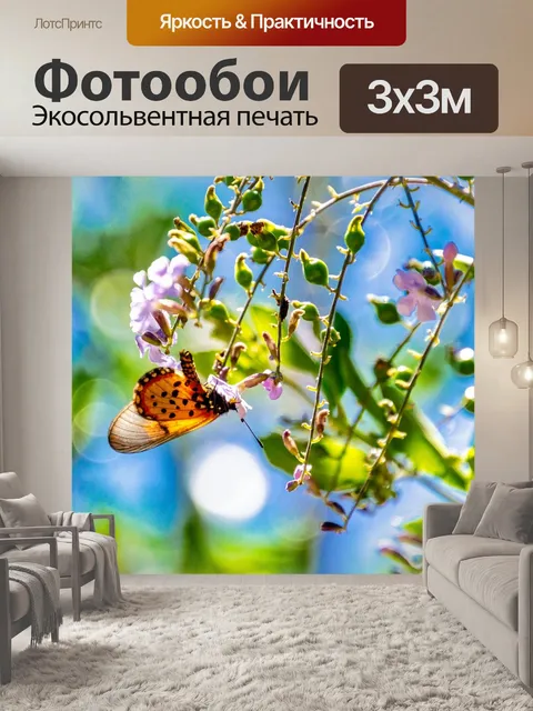 Фотообои Бабочка