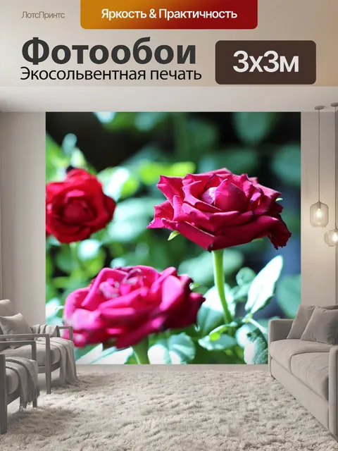 Фотообои Розы