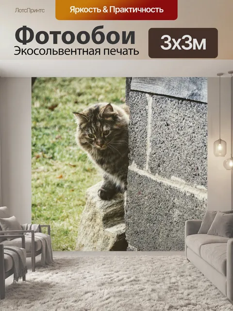 Фотообои Кошка