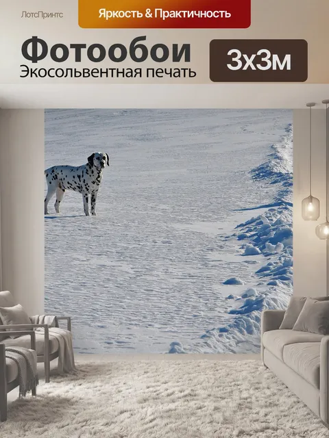 Фотообои Зима