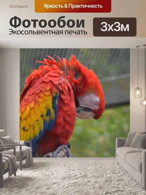 Фотообои Птица
