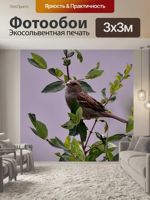 Фотообои Птица