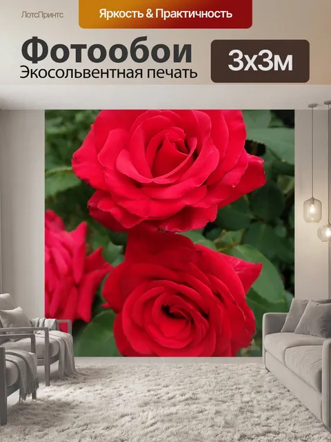 Фотообои Розы