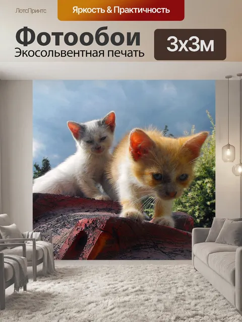 Фотообои Котята