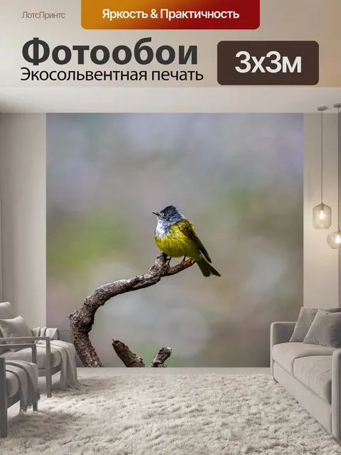 Фотообои Птица