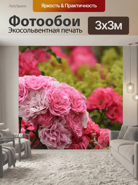 Фотообои Розы