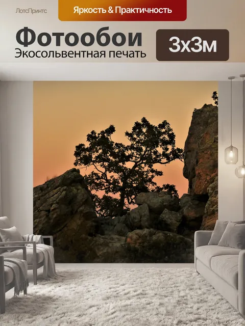 Фотообои Дерево в скалах на закате