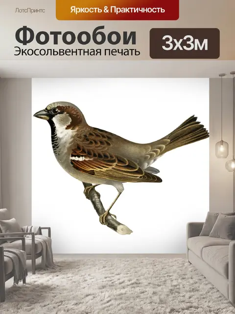Фотообои Винтажный клипарт птица иллюстрация