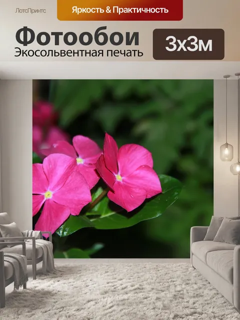 Фотообои Цветок