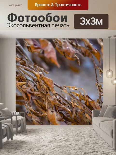 Фотообои Красный лист