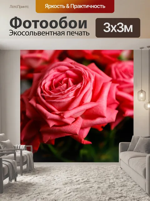Фотообои Розы