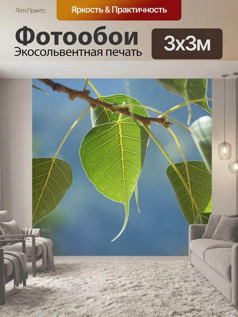 Фотообои Листья