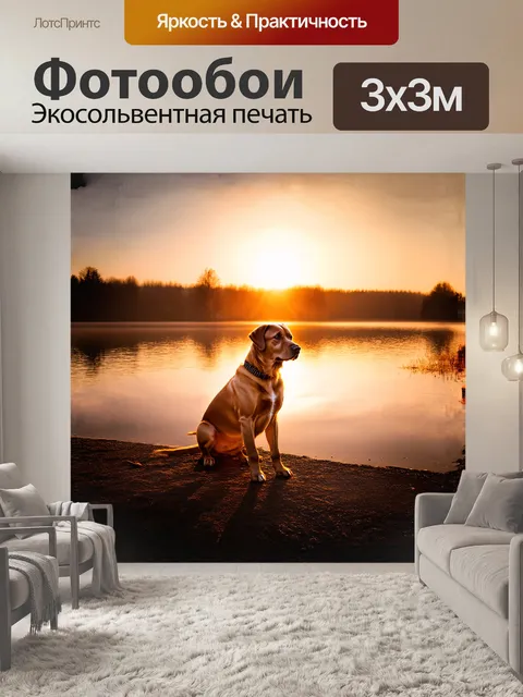 Фотообои лабрадор, сидящий у берегов спокойного озера на фоне заката