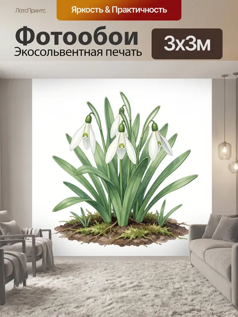 300 × 300 см · Экосольвентная печать