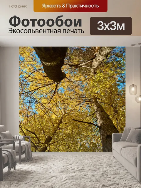 Фотообои Осень