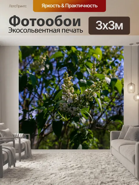 Фотообои Сирень