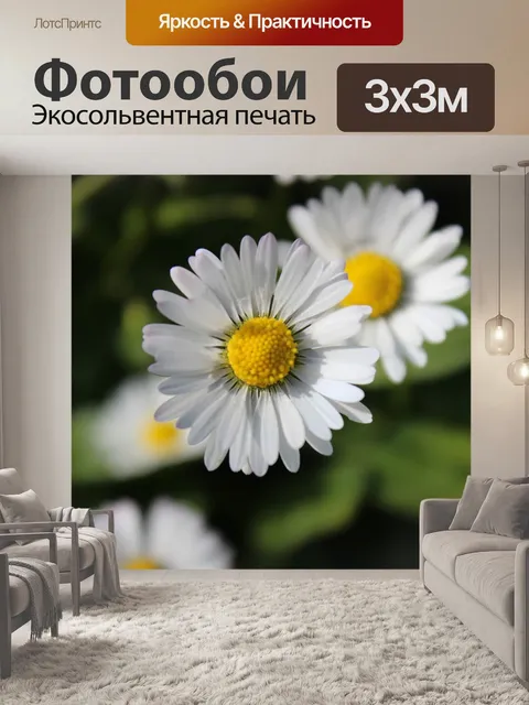 Фотообои Цветы