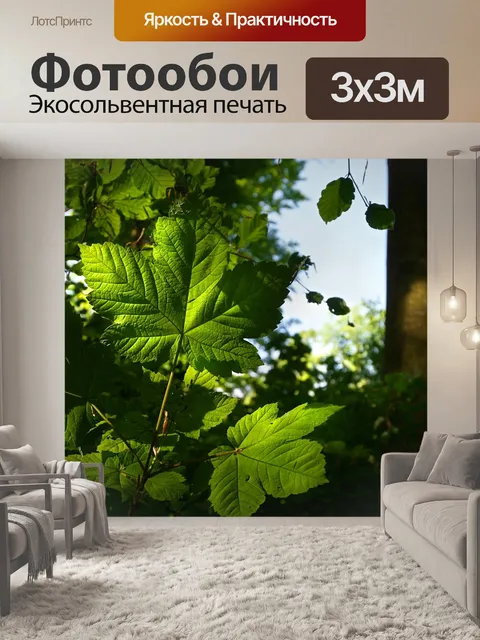 Фотообои Лес