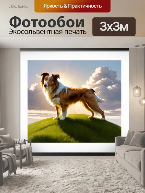 Фотообои описание умного колли, стоящего на вершине зеленого холма, освещенного мягким закатным светом