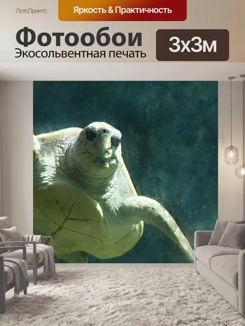 Фотообои Море