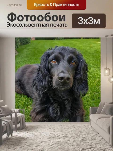 Фотообои Неро