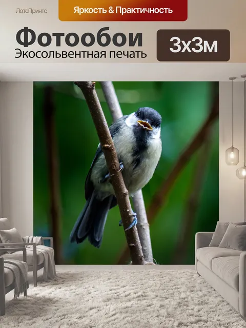 Фотообои Природа