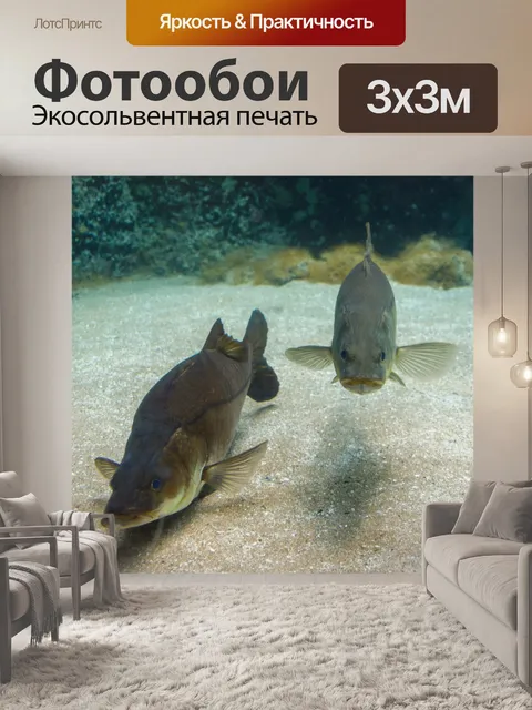 Фотообои рыба под водой