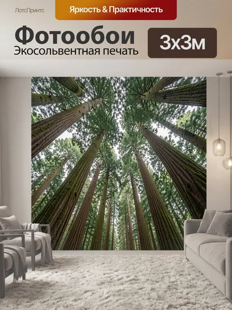 Фотообои Высокие лесные стволы и кроны
