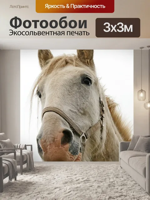 Фотообои Лошадь