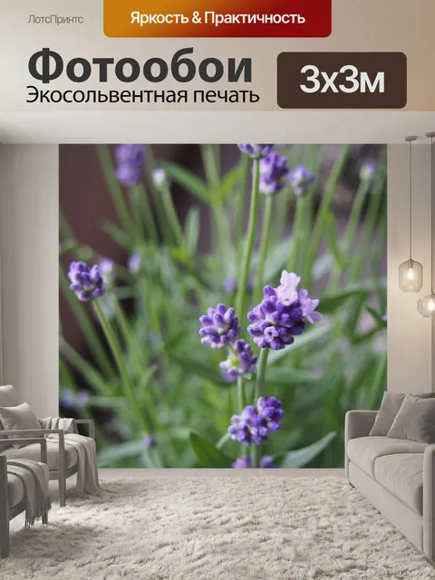 Фотообои Лаванда
