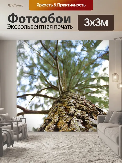 Фотообои Деревья