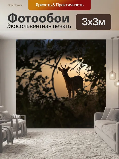 Фотообои Олень