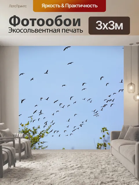Фотообои Птица