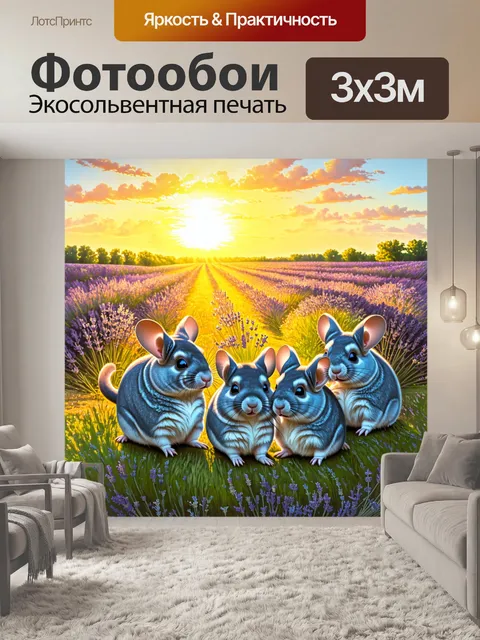 Фотообои группа шиншилл, наслаждающихся лавандовым полем в золотое время заката