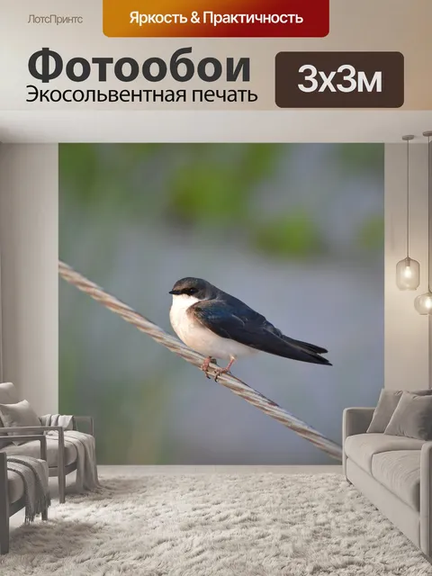 Фотообои Ласточка