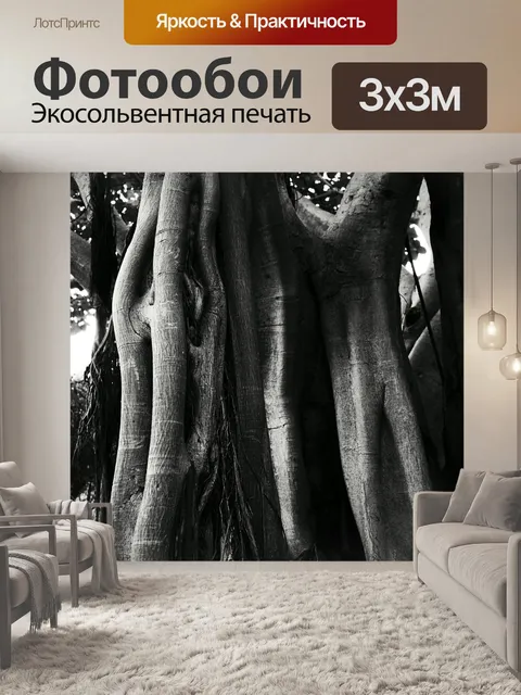 Фотообои Фикус