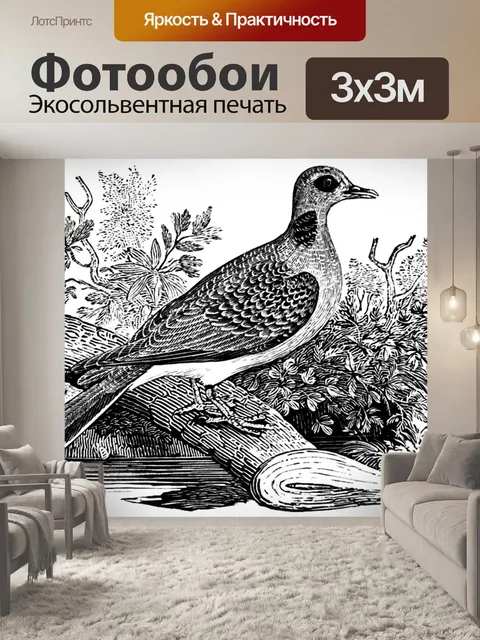 Фотообои Голубь-черепаха